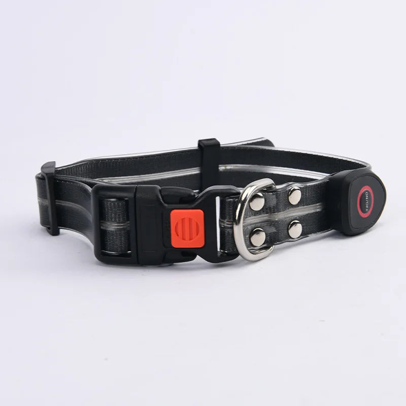 LED Light-Up Pet Collar Leash