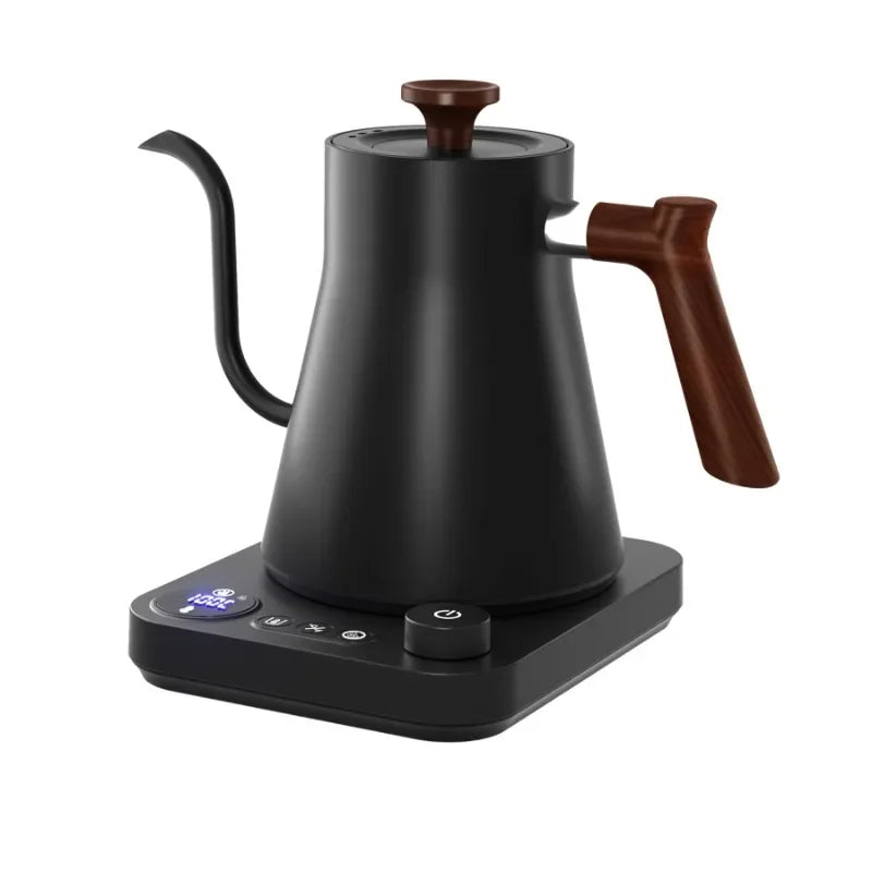 Electric Gooseneck Coffee Kettle