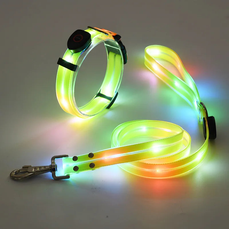 LED Light-Up Pet Collar Leash