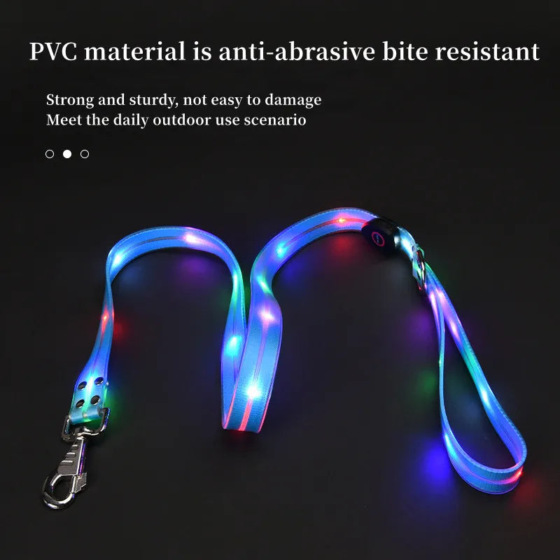 LED Light-Up Pet Collar Leash