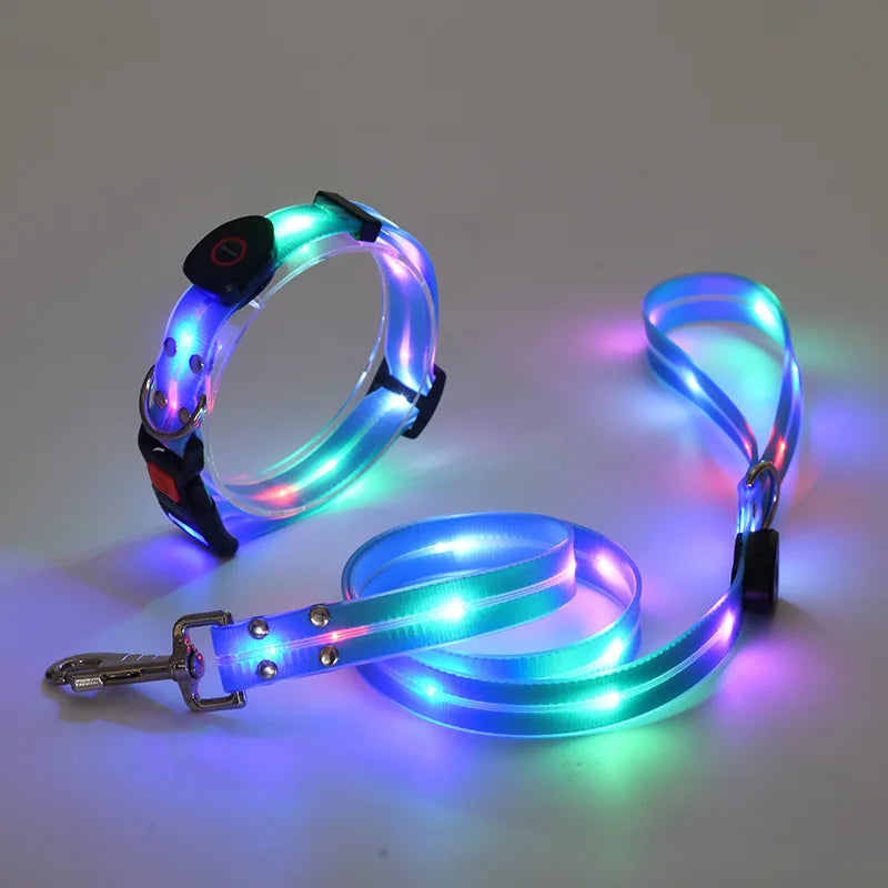 LED Light-Up Pet Collar Leash