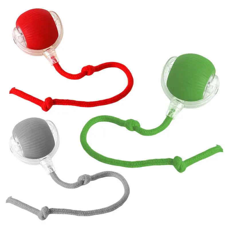 Interactive Cat Ball Toy
