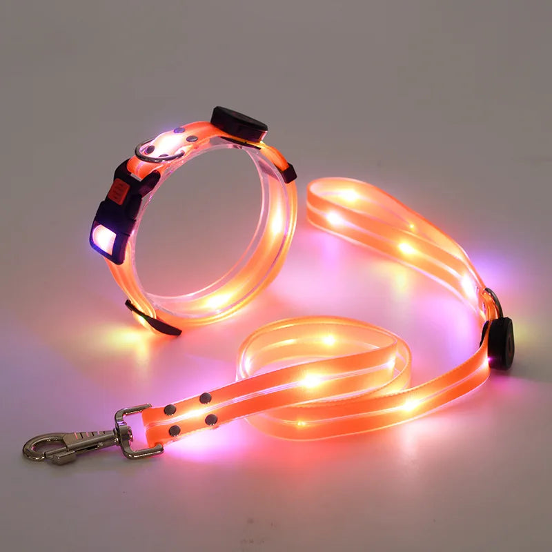 LED Light-Up Pet Collar Leash