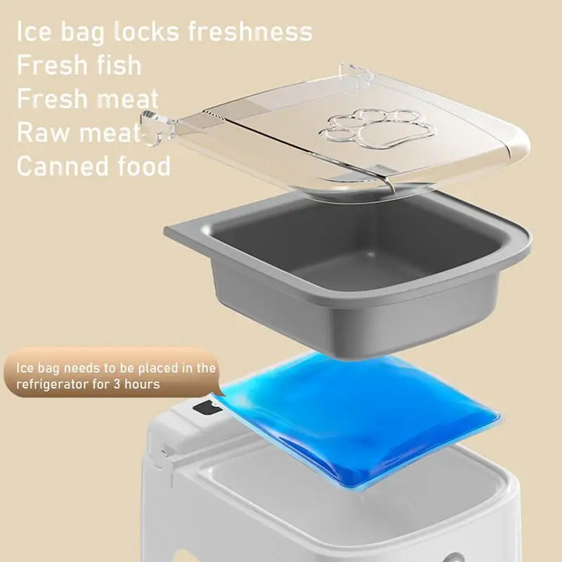 Smart Automatic Pet Feeder Dispenser