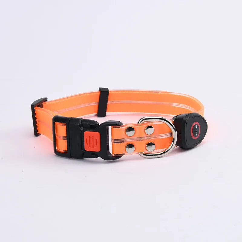 LED Light-Up Pet Collar Leash