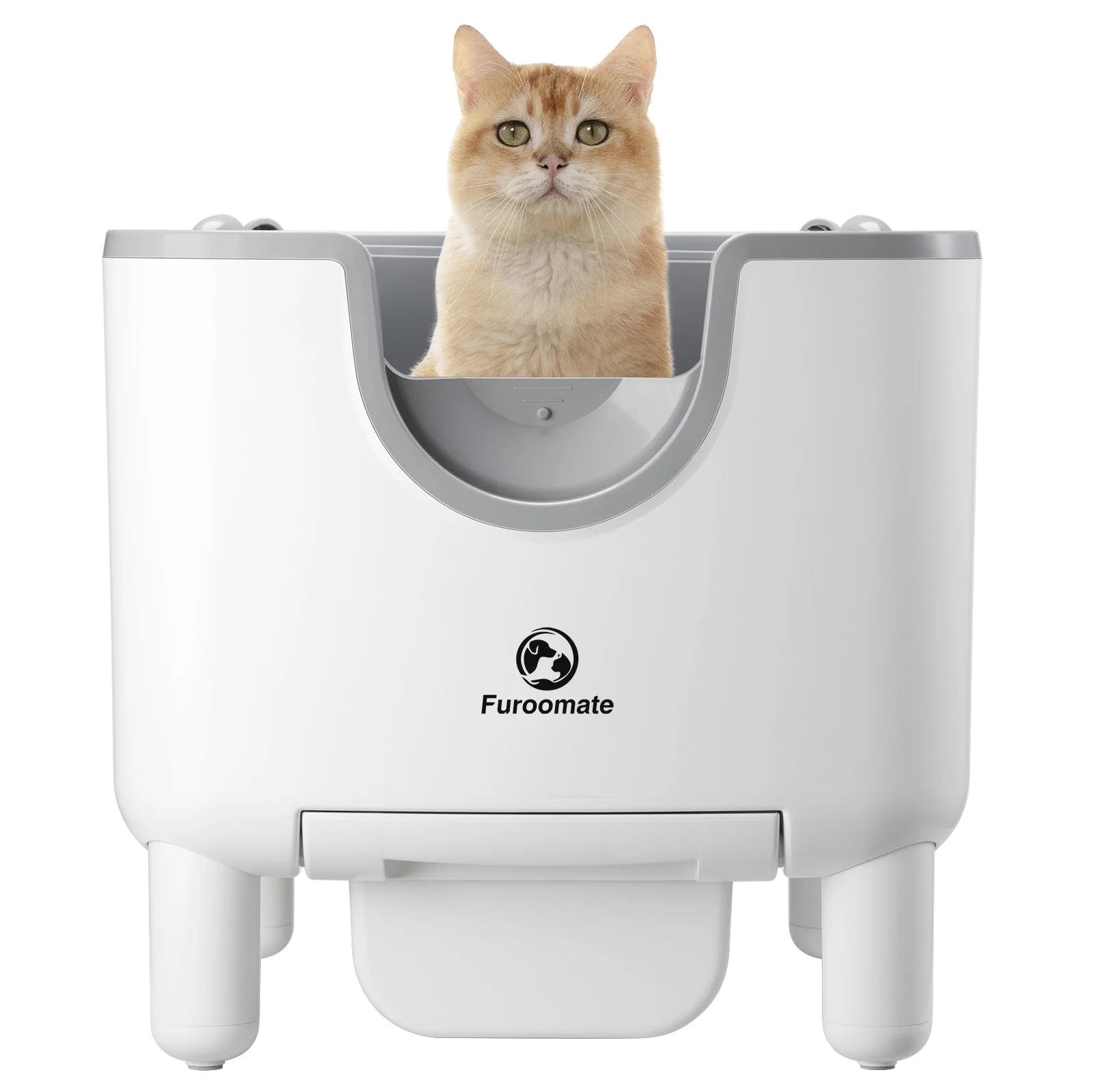Self-Cleaning Cat Litter Box