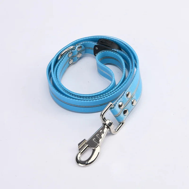 LED Light-Up Pet Collar Leash