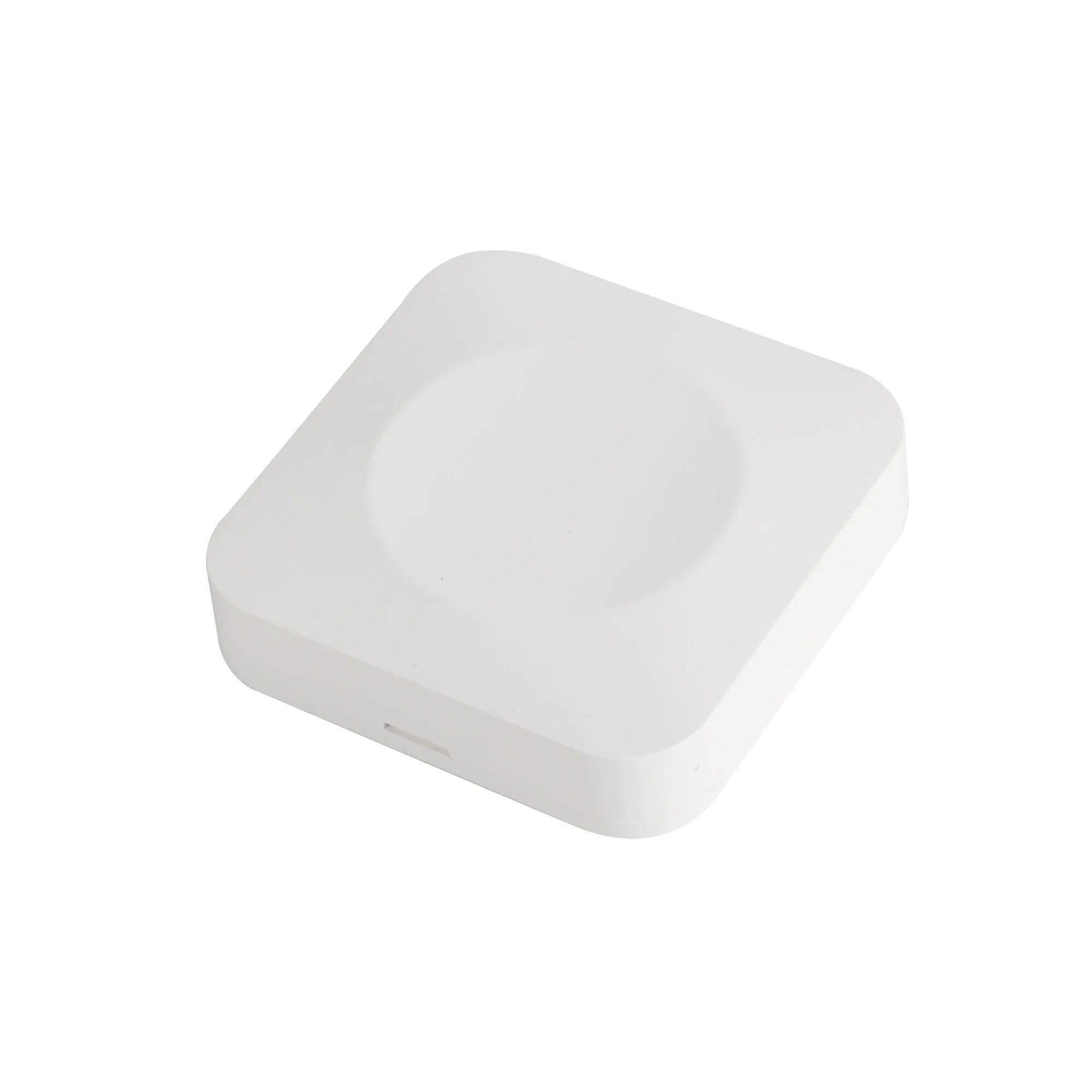 Wireless Water Leak Sensor