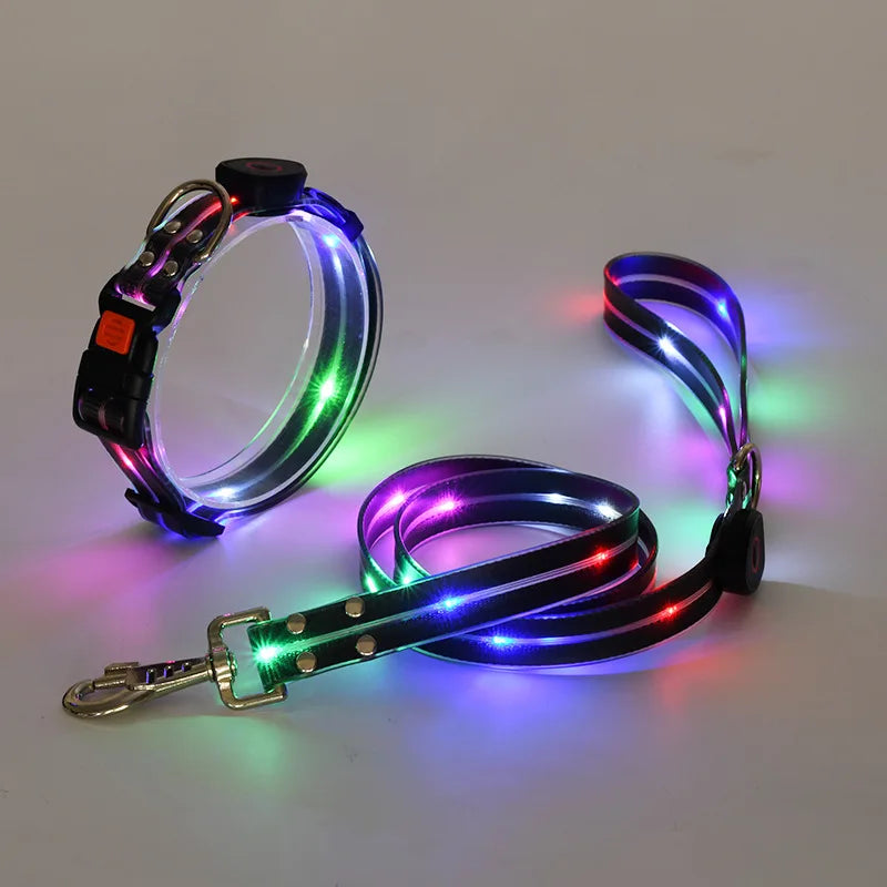 LED Light-Up Pet Collar Leash