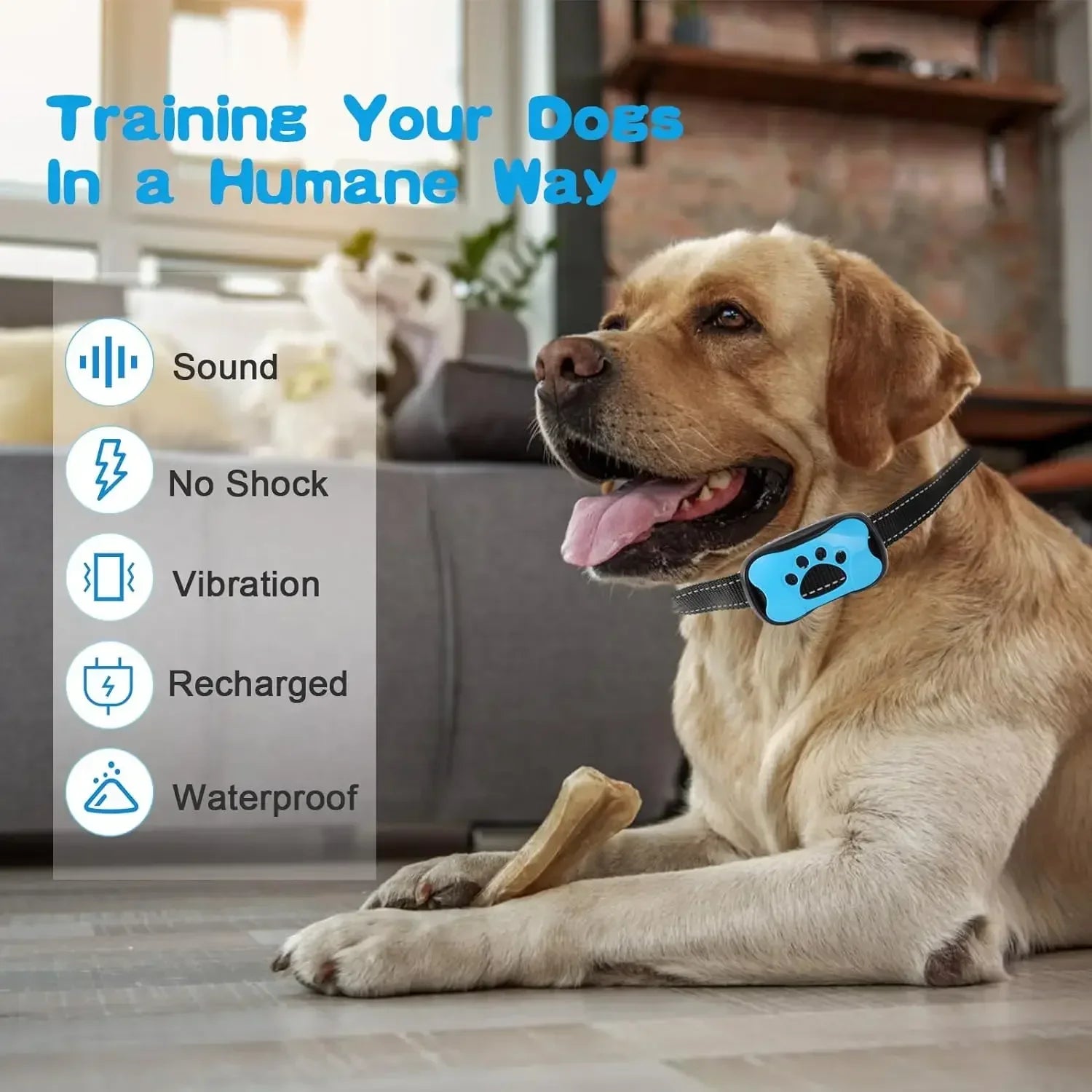 USB Rechargeable Dogs Training Collar