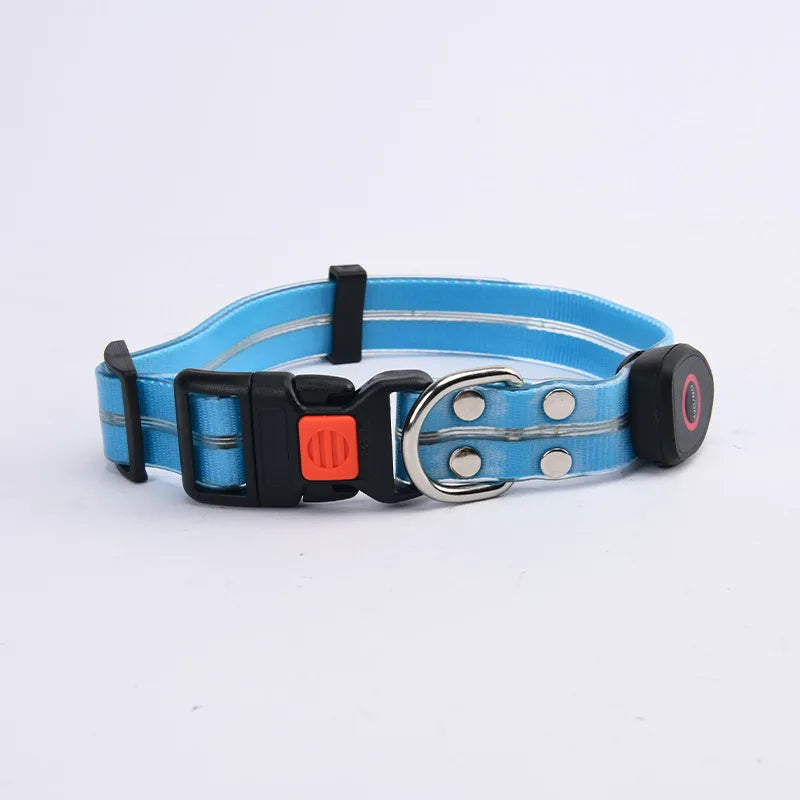 LED Light-Up Pet Collar Leash