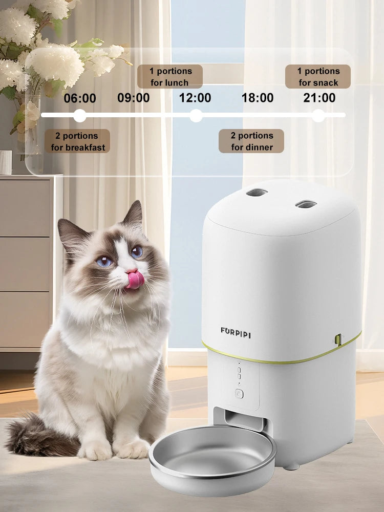 Automatic Feeder For Cat
