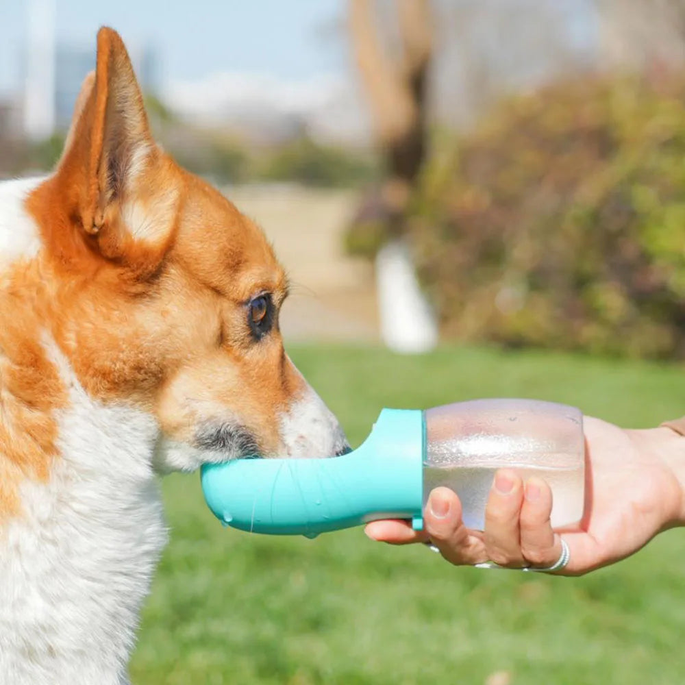 Portable Pet Travel Water Bottle