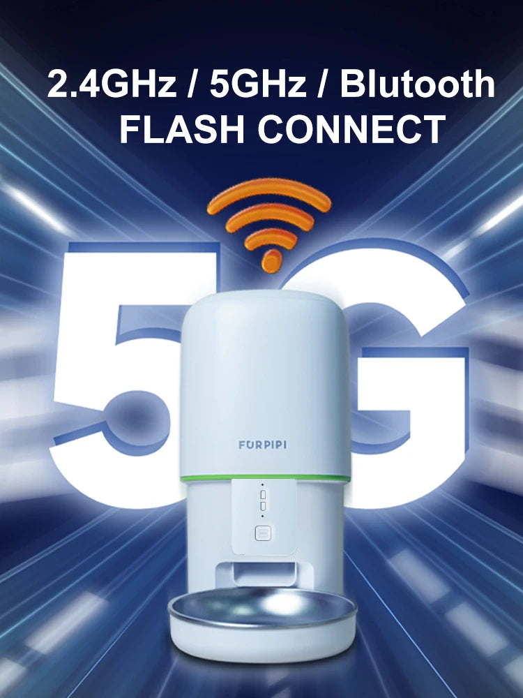 Automatic Feeder For Cat