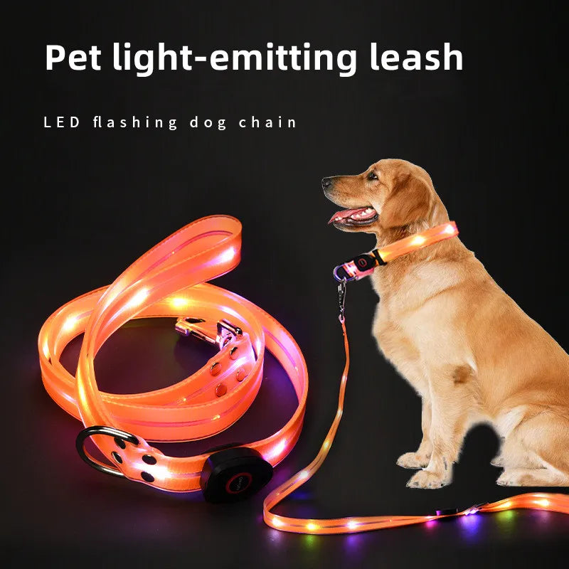 LED Light-Up Pet Collar Leash