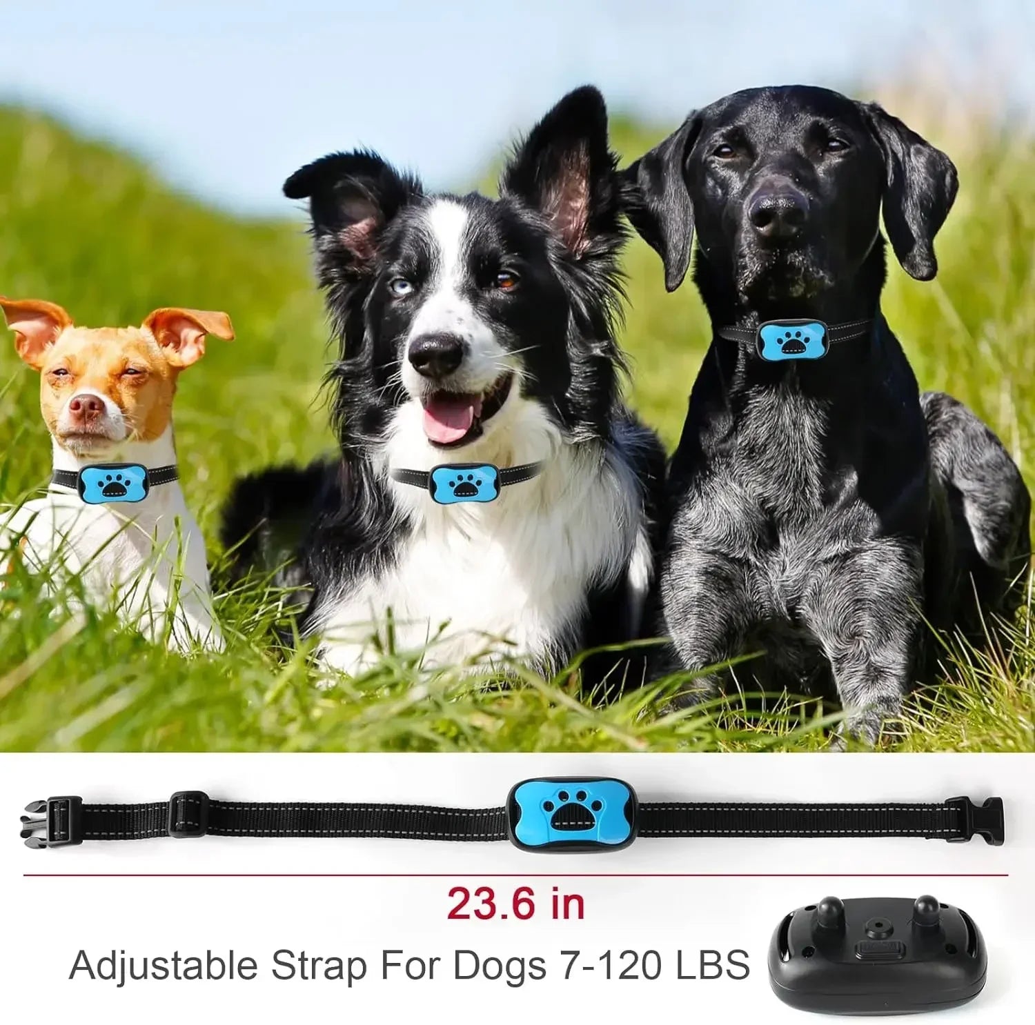 USB Rechargeable Dogs Training Collar